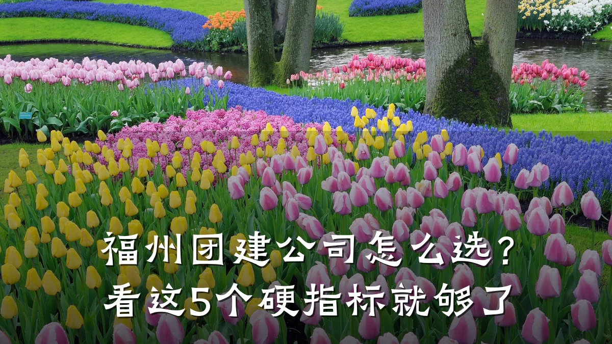 福州团建公司怎么选?看这5个硬指标就够了