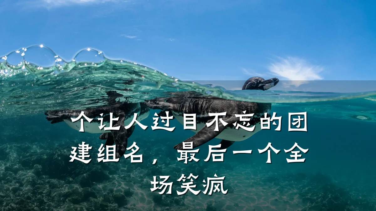 个让人过目不忘的团建组名，最后一个全场笑疯