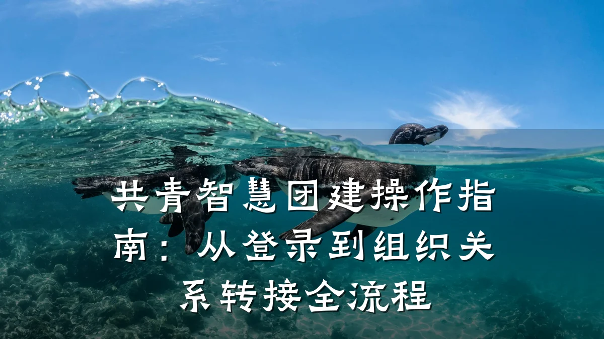 共青智慧团建操作指南:从登录到组织关系转接全流程