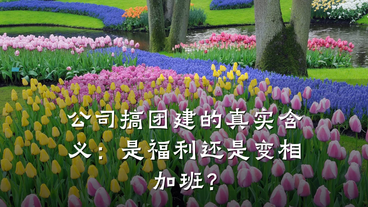 公司搞团建的真实含义:是福利还是变相加班?