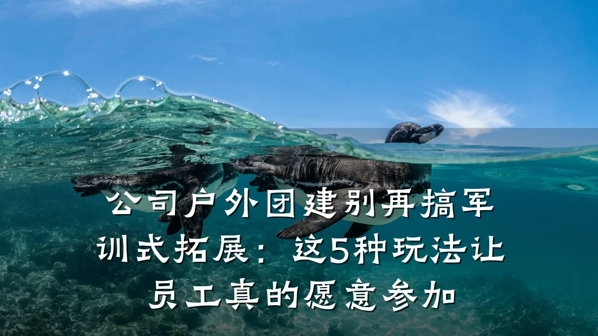 公司户外团建别再搞军训式拓展:这5种玩法让员工真的愿意参加
