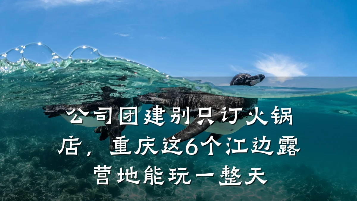 公司团建别只订火锅店，重庆这6个江边露营地能玩一整天