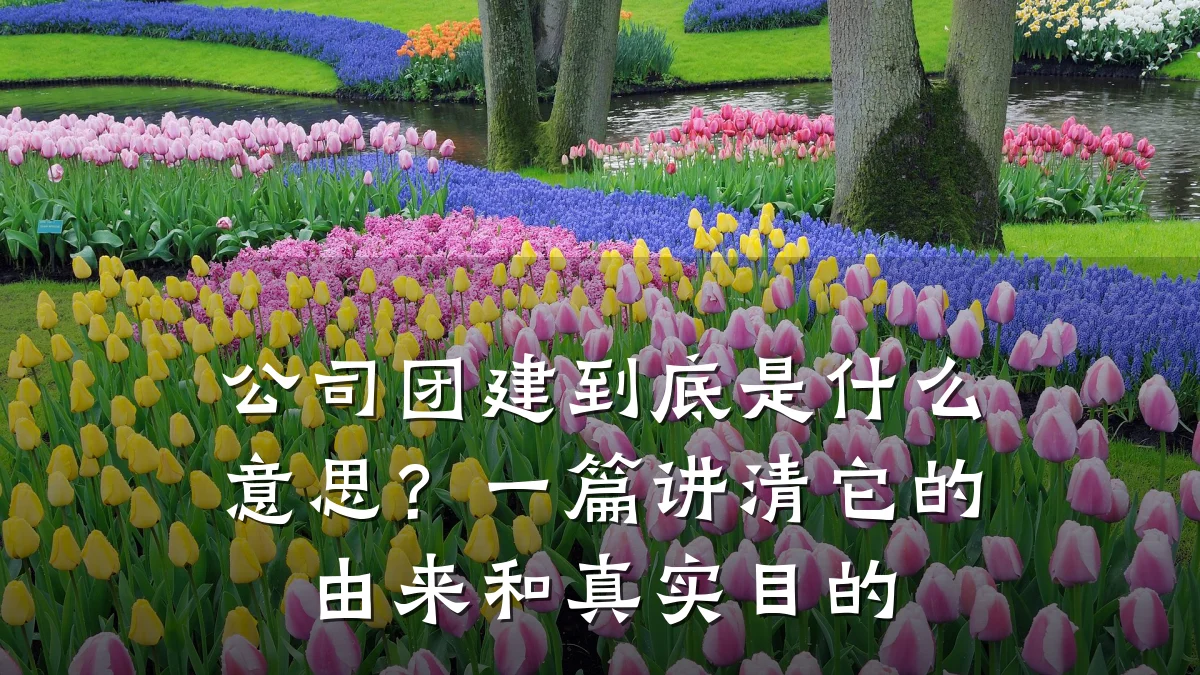 公司团建到底是什么意思?一篇讲清它的由来和真实目的