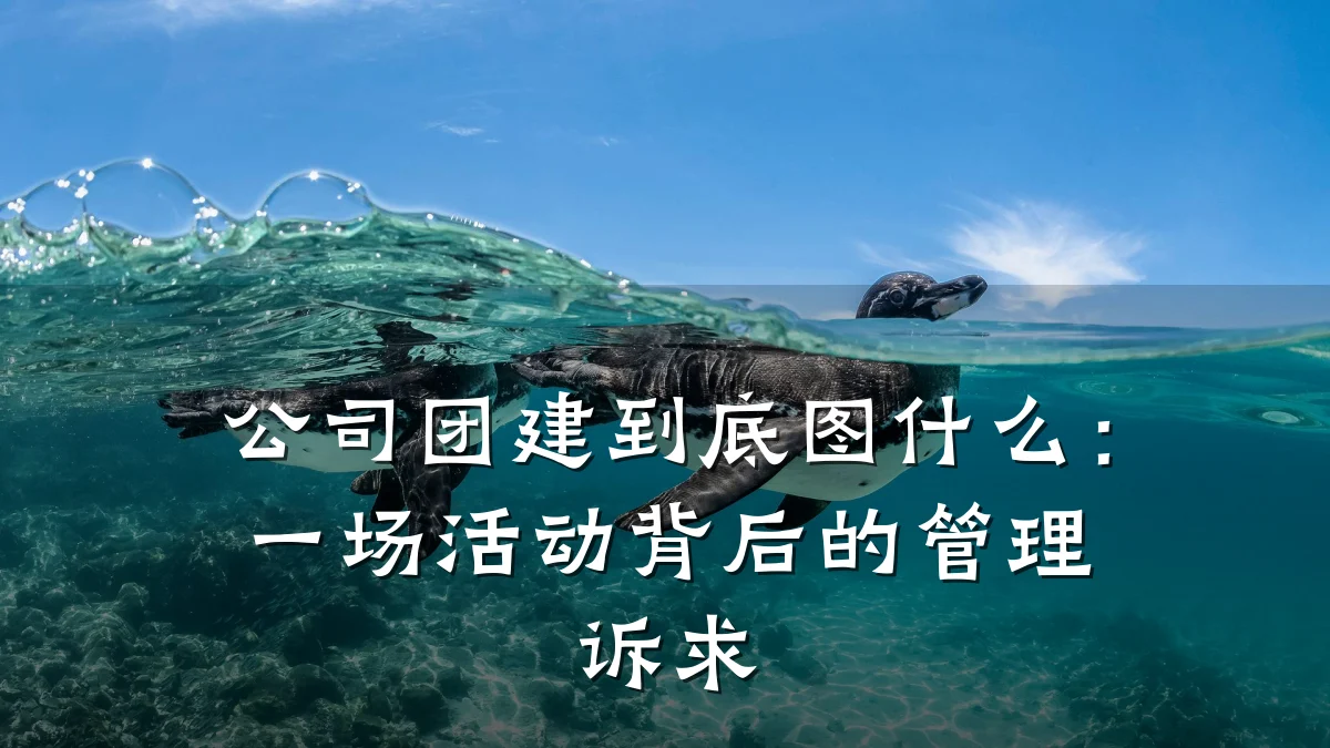 公司团建到底图什么:一场活动背后的管理诉求