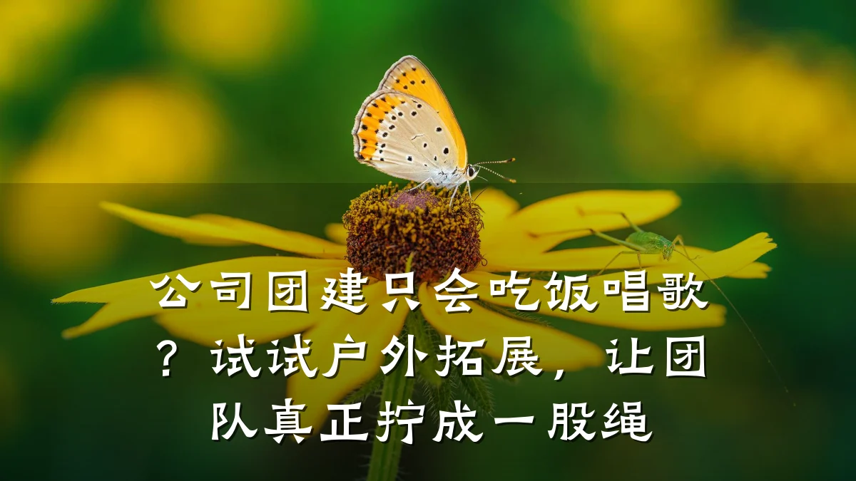 公司团建只会吃饭唱歌?试试户外拓展,让团队真正拧成一股绳