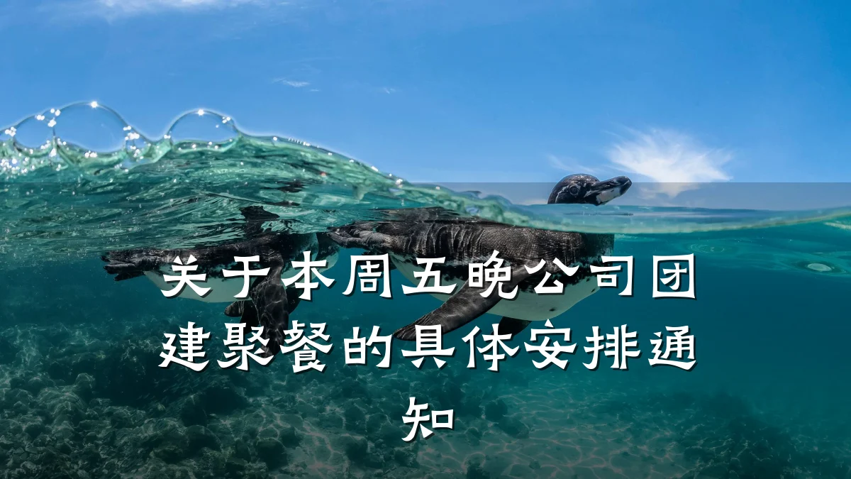 关于本周五晚公司团建聚餐的具体安排通知