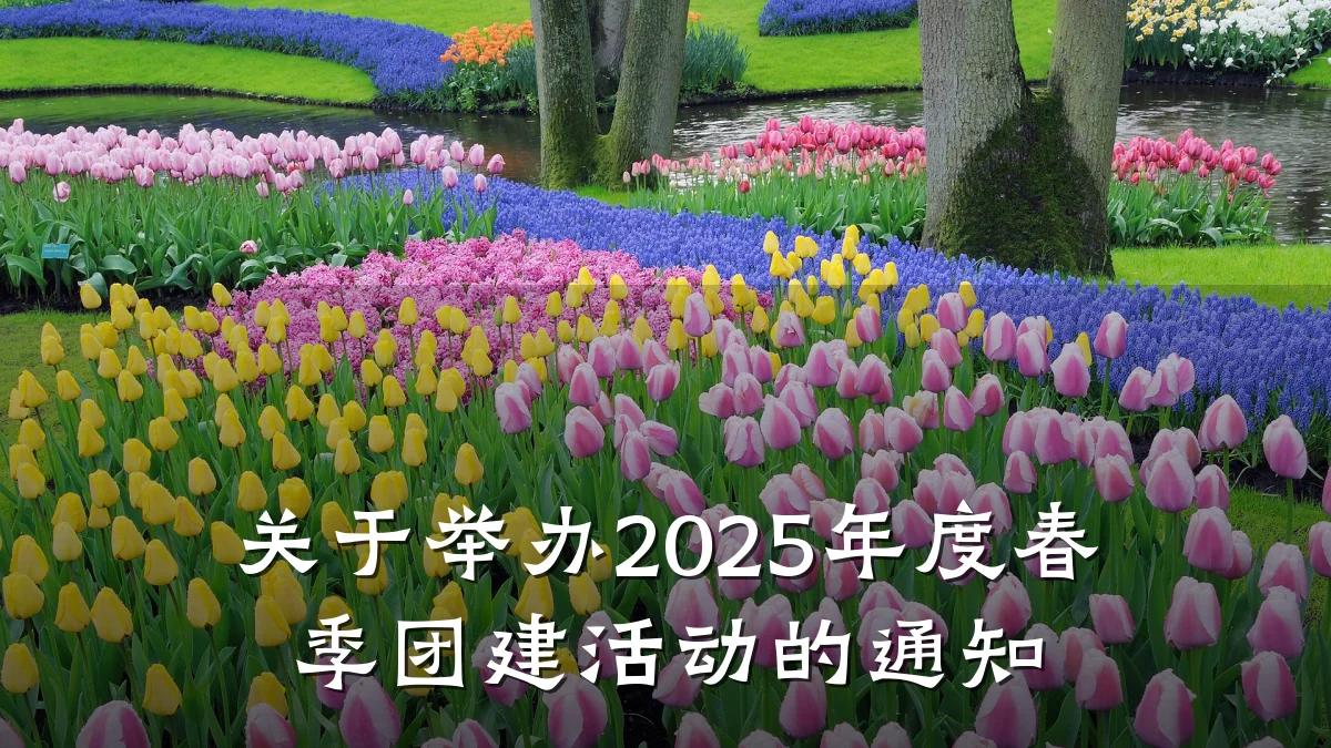 关于举办2025年度春季团建活动的通知