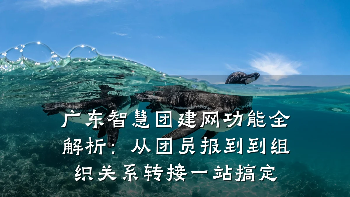 广东智慧团建网功能全解析:从团员报到到组织关系转接一站搞定
