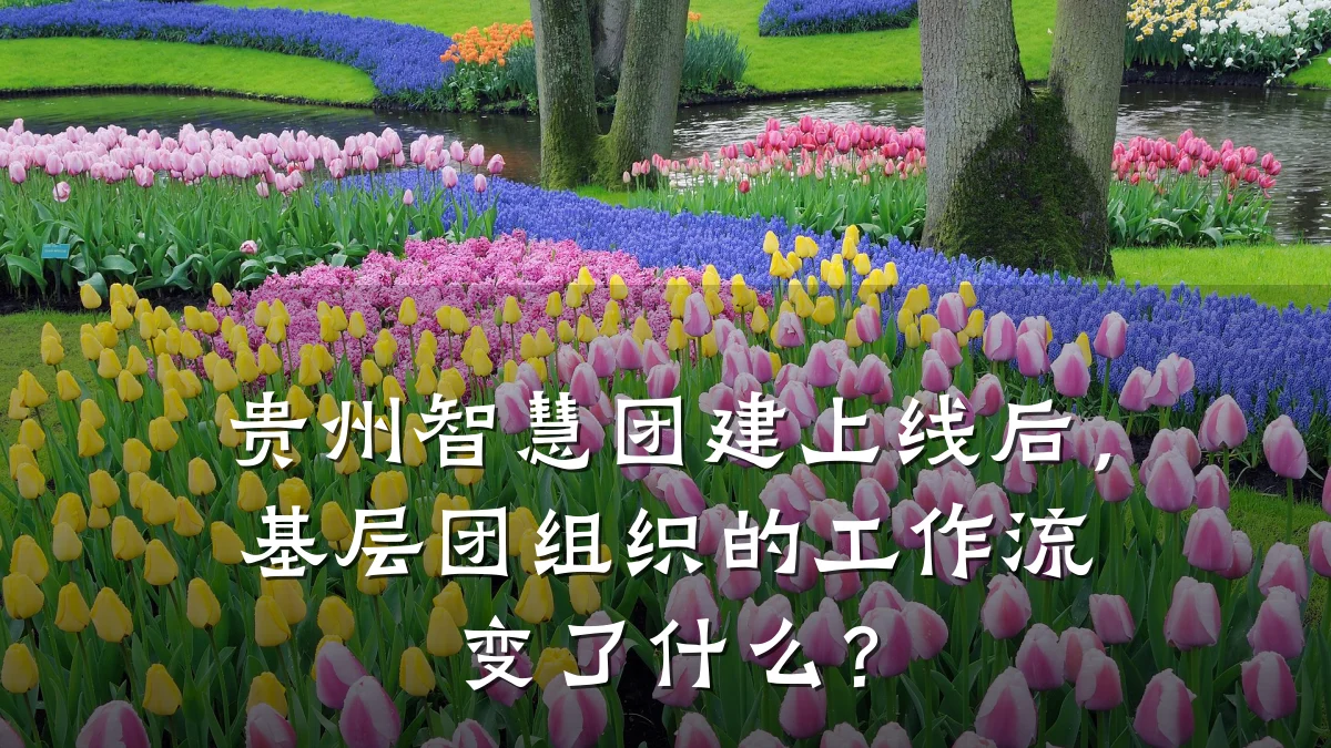 贵州智慧团建上线后，基层团组织的工作流变了什么？