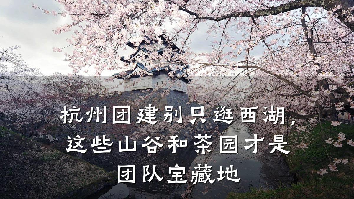 杭州团建别只逛西湖，这些山谷和茶园才是团队宝藏地