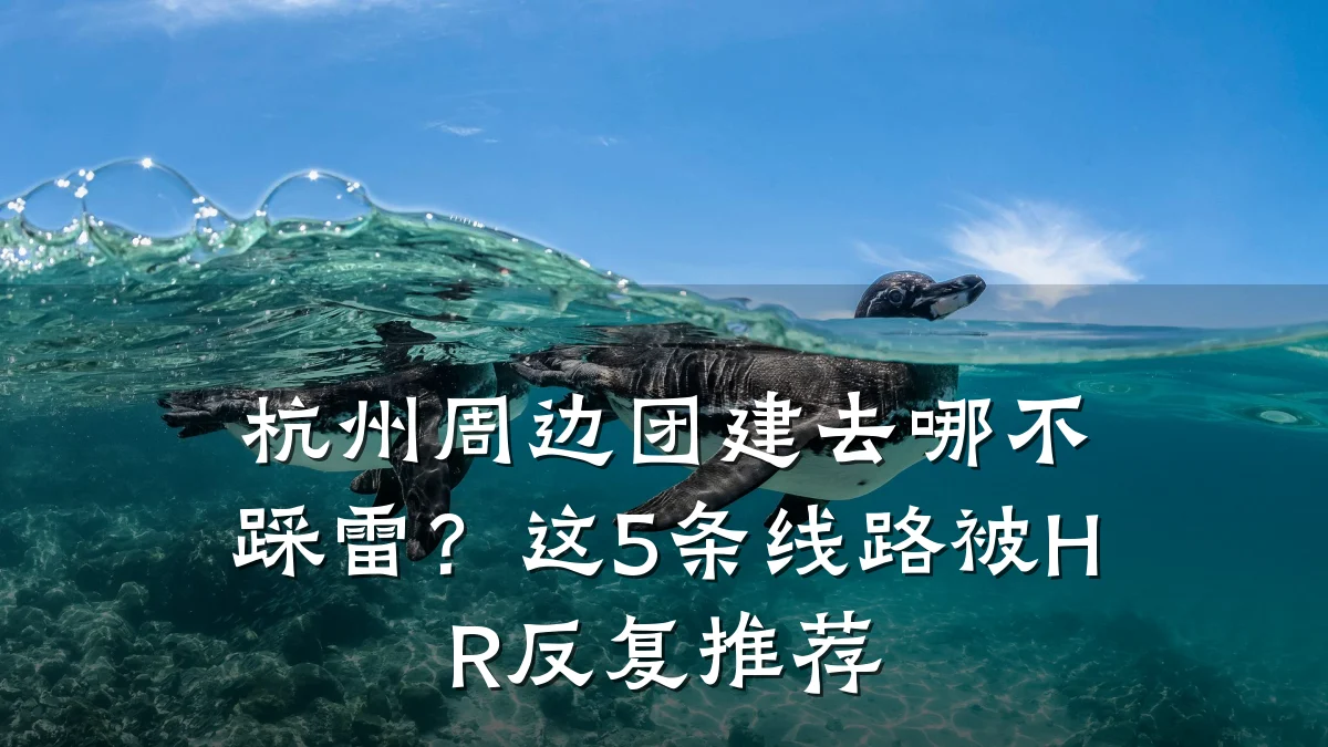 杭州周边团建去哪不踩雷?这5条线路被HR反复推荐