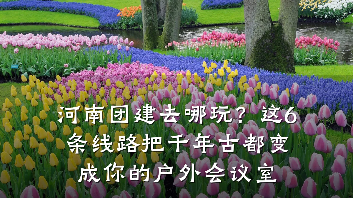 河南团建去哪玩？这6条线路把千年古都变成你的户外会议室
