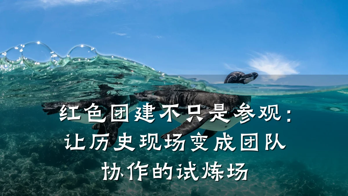 红色团建不只是参观：让历史现场变成团队协作的试炼场