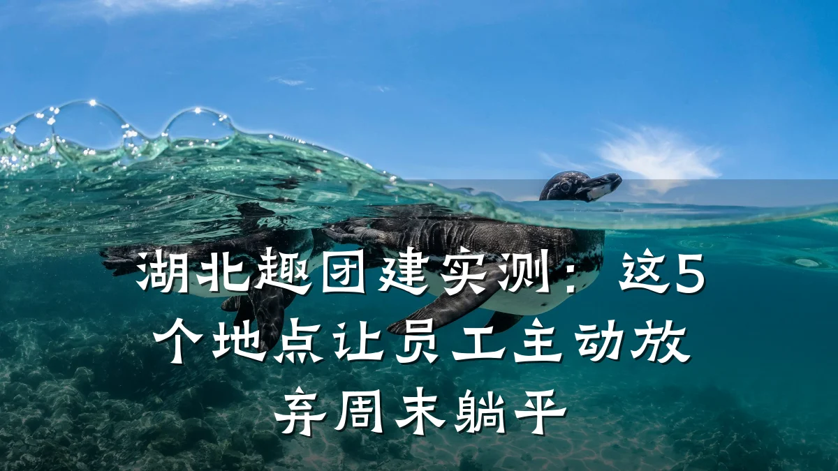 湖北趣团建实测:这5个地点让员工主动放弃周末躺平