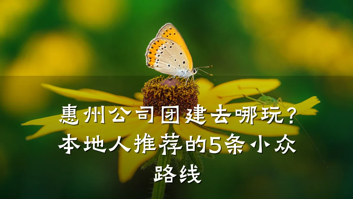 惠州公司团建去哪玩?本地人推荐的5条小众路线