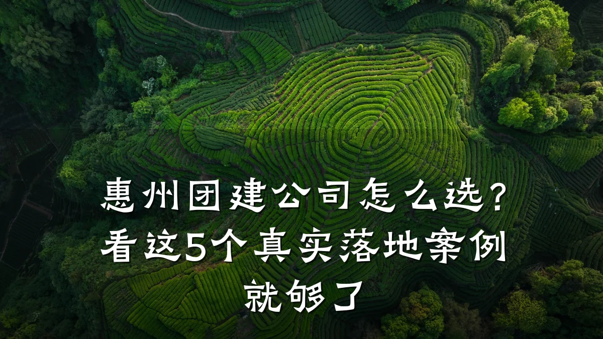 惠州团建公司怎么选？看这5个真实落地案例就够了