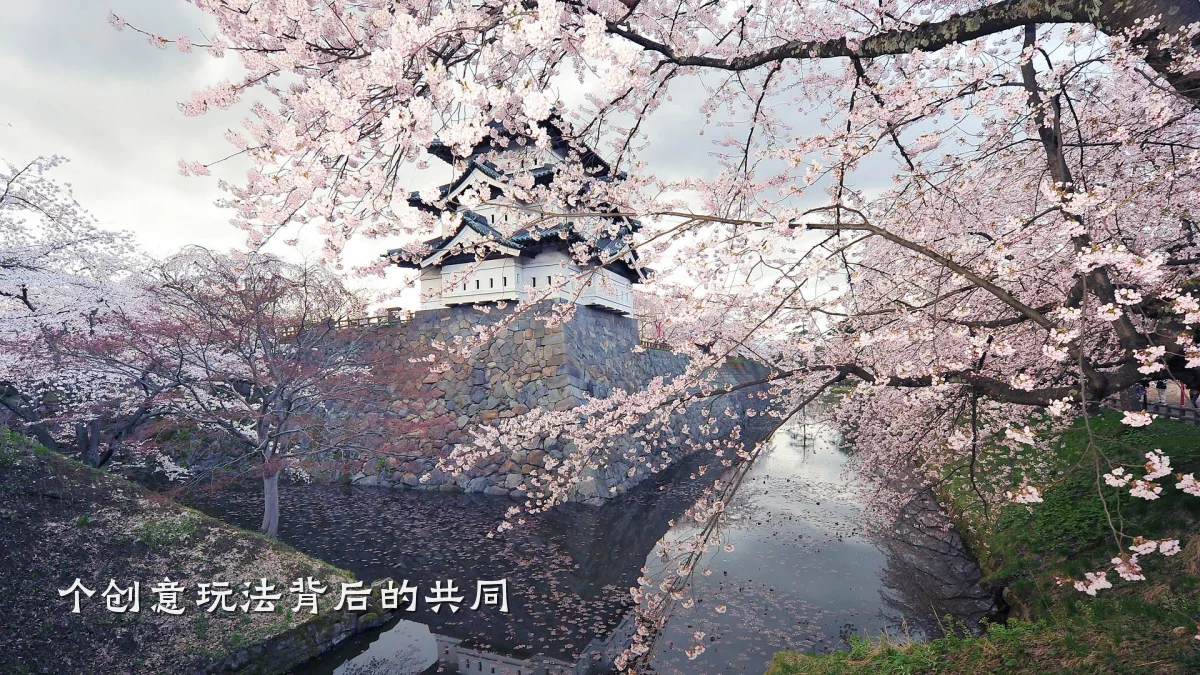 个创意玩法背后的共同