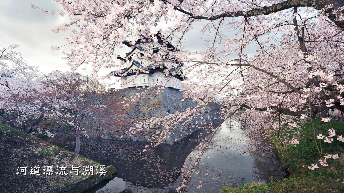 河道漂流与溯溪