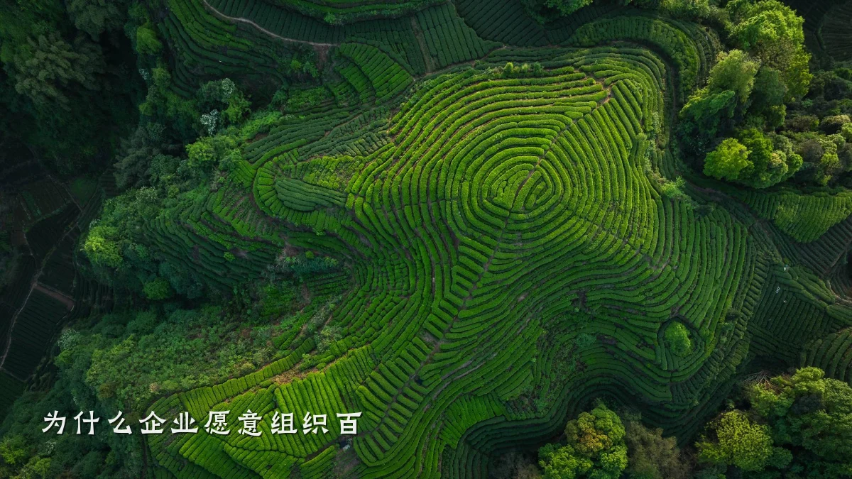 为什么企业愿意组织百