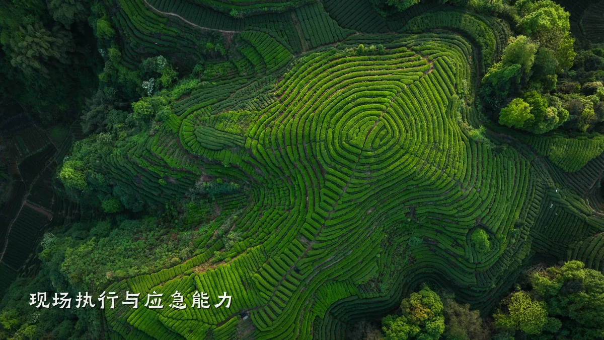 现场执行与应急能力