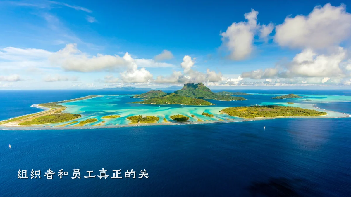 组织者和员工真正的关