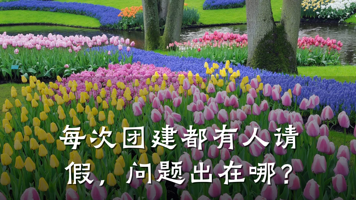 每次团建都有人请假,问题出在哪?