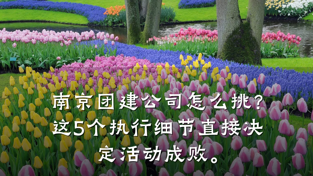 南京团建公司怎么挑?这5个执行细节直接决定活动成败。
