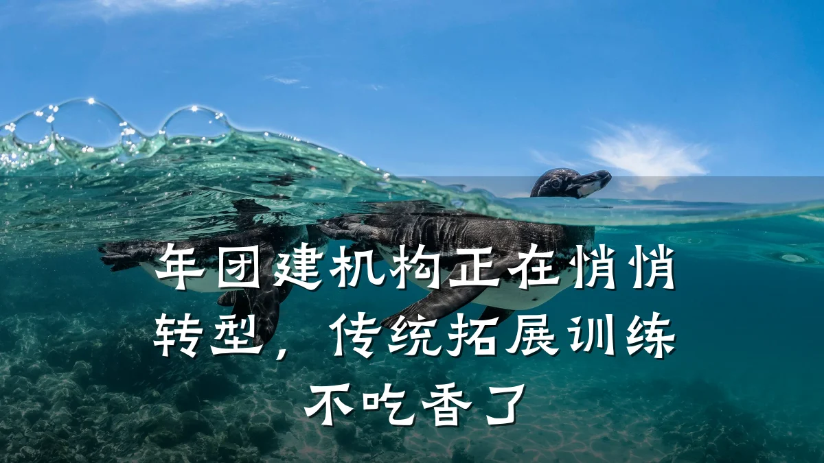 年团建机构正在悄悄转型,传统拓展训练不吃香了