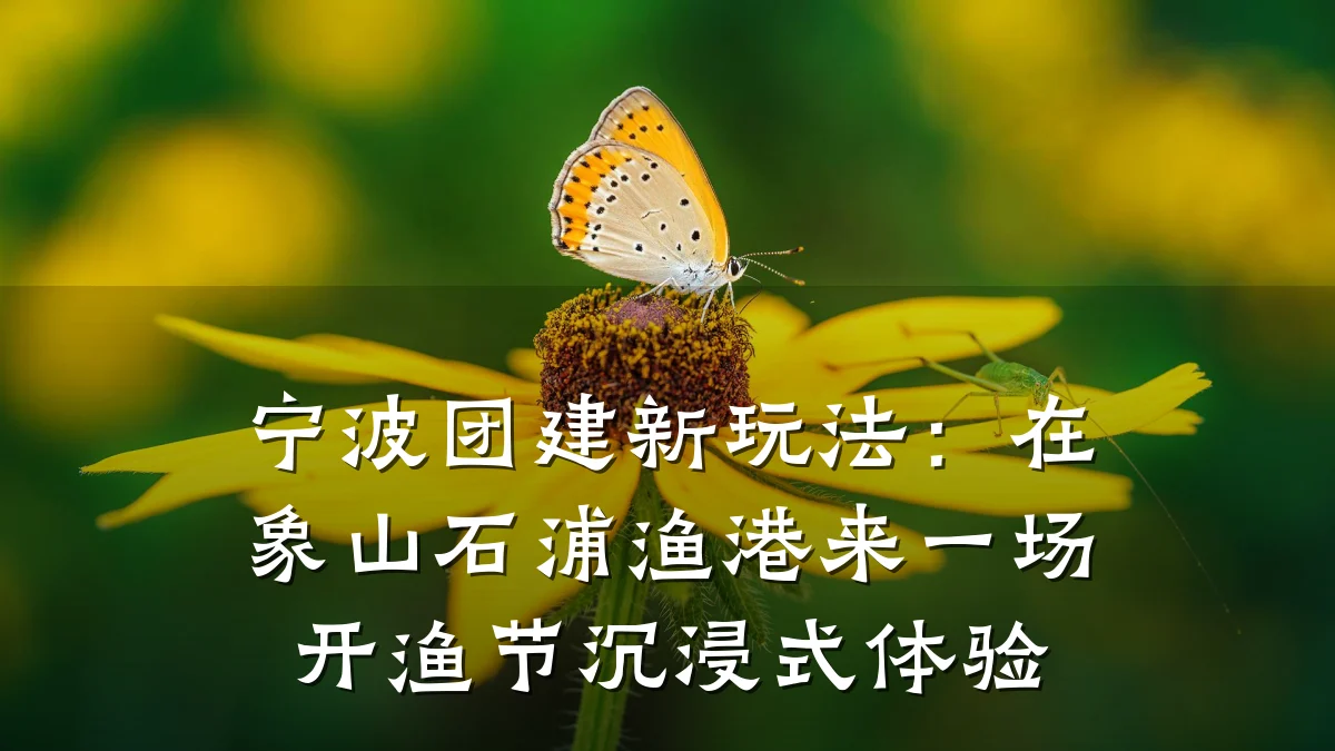 宁波团建新玩法:在象山石浦渔港来一场开渔节沉浸式体验