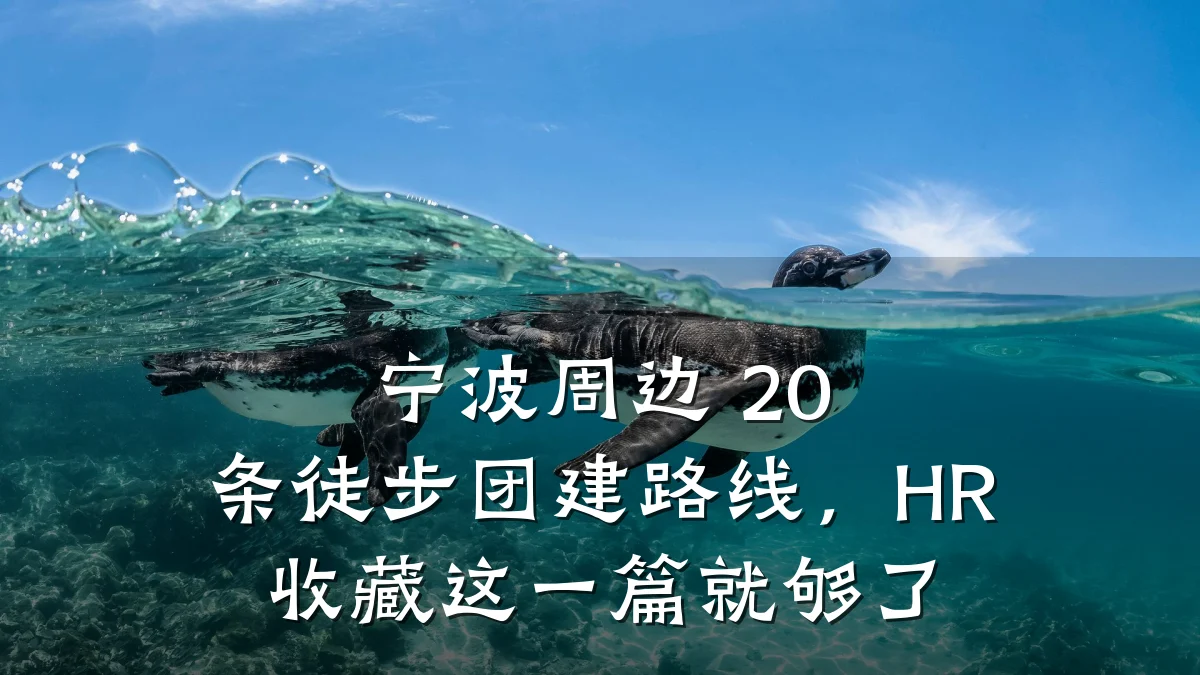 宁波周边 20 条徒步团建路线,HR 收藏这一篇就够了