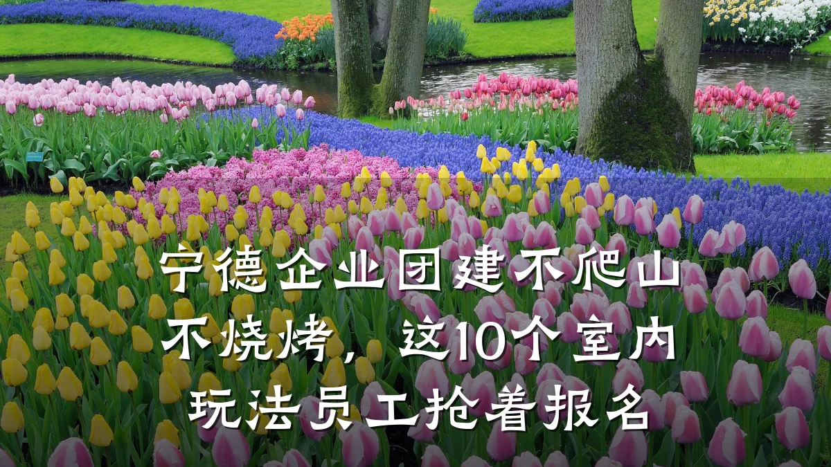 宁德企业团建不爬山不烧烤,这10个室内玩法员工抢着报名