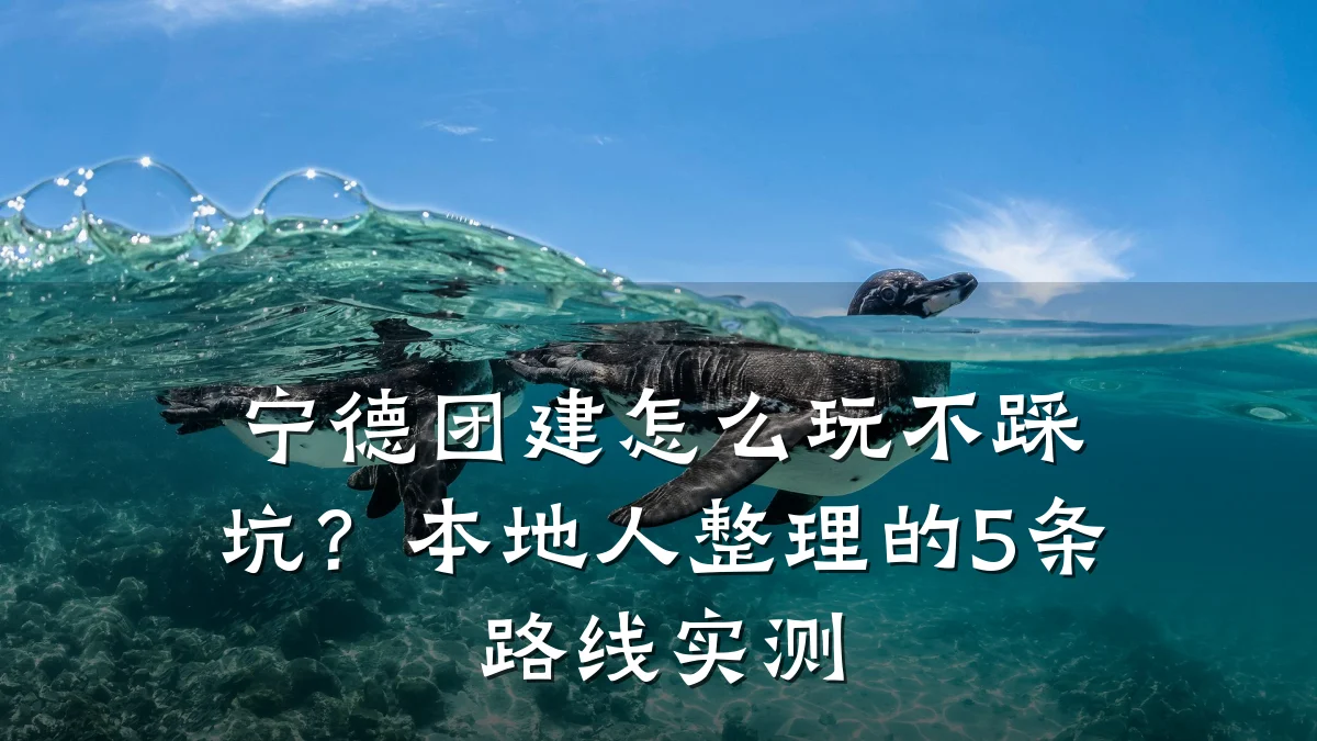 宁德团建怎么玩不踩坑?本地人整理的5条路线实测