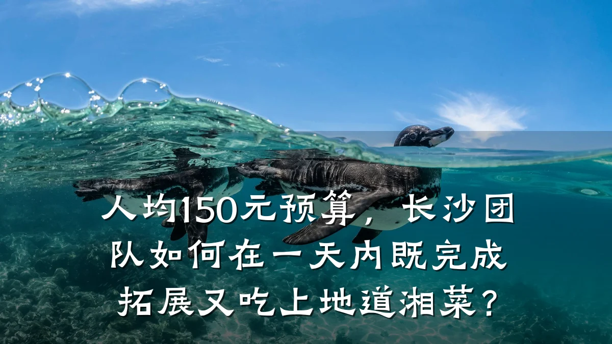 人均150元预算,长沙团队如何在一天内既完成拓展又吃上地道湘菜?