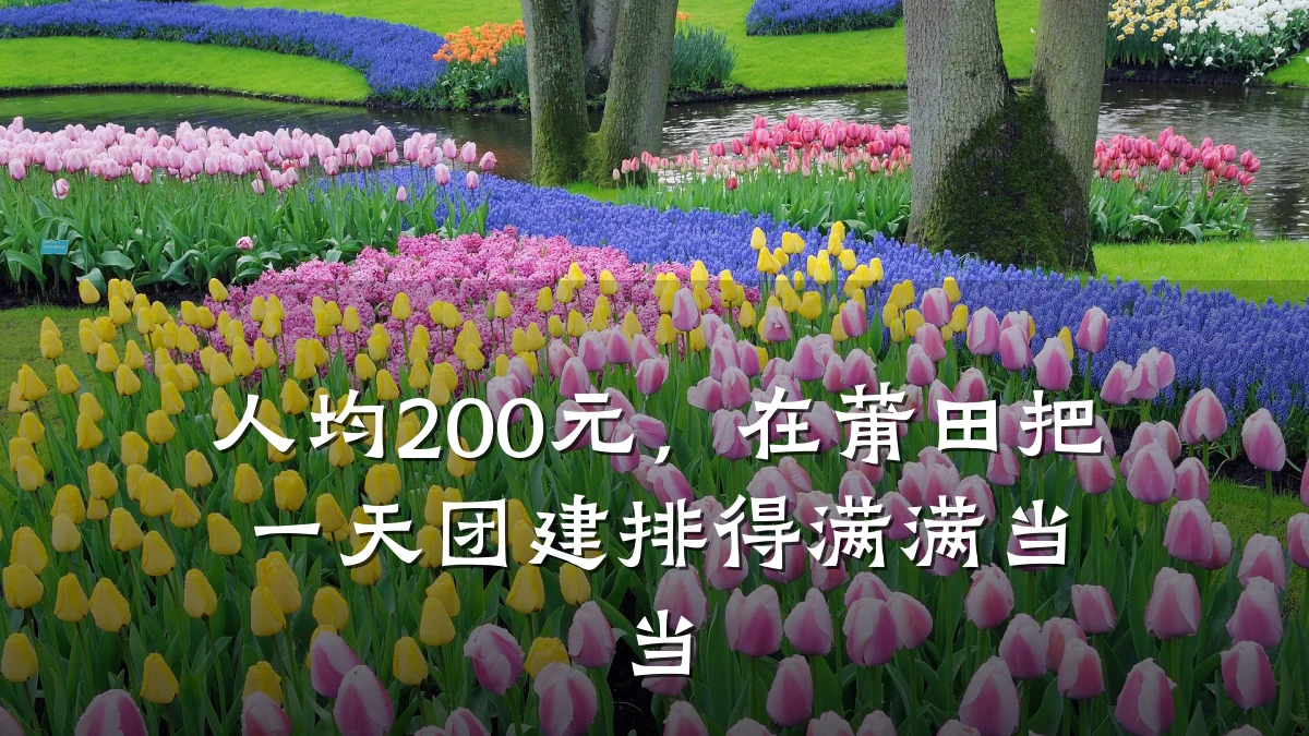 人均200元,在莆田把一天团建排得满满当当