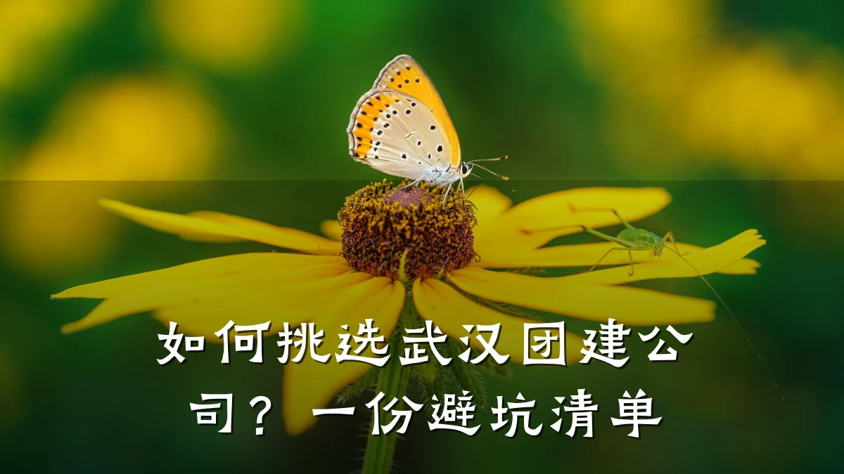 如何挑选武汉团建公司?一份避坑清单