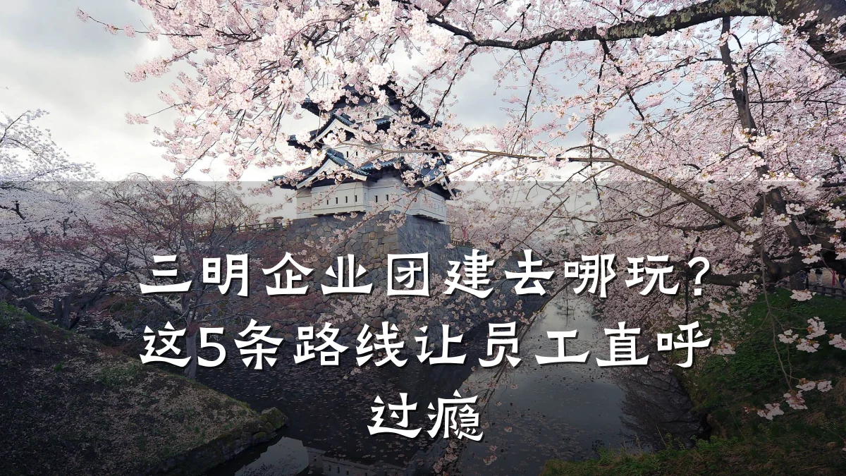 三明企业团建去哪玩?这5条路线让员工直呼过瘾