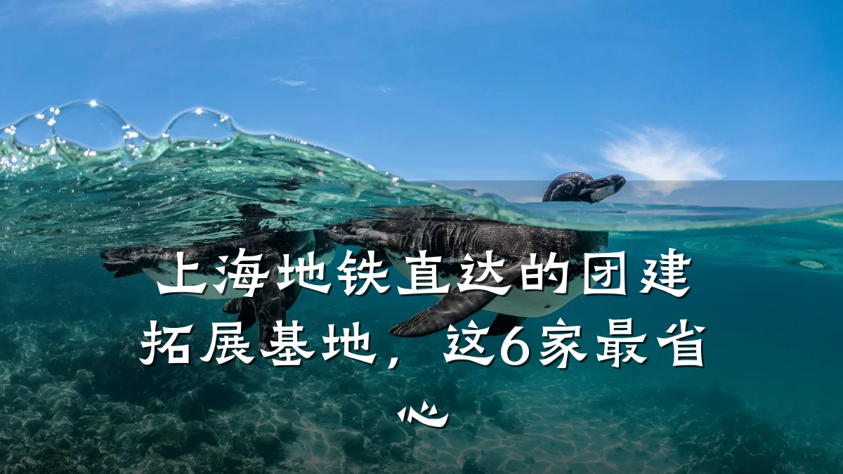 上海地铁直达的团建拓展基地,这6家最省心