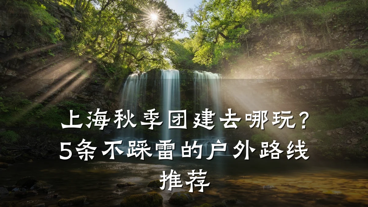 上海秋季团建去哪玩？5条不踩雷的户外路线推荐
