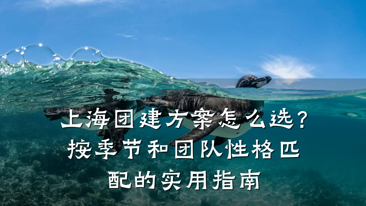 上海团建方案怎么选?按季节和团队性格匹配的实用指南