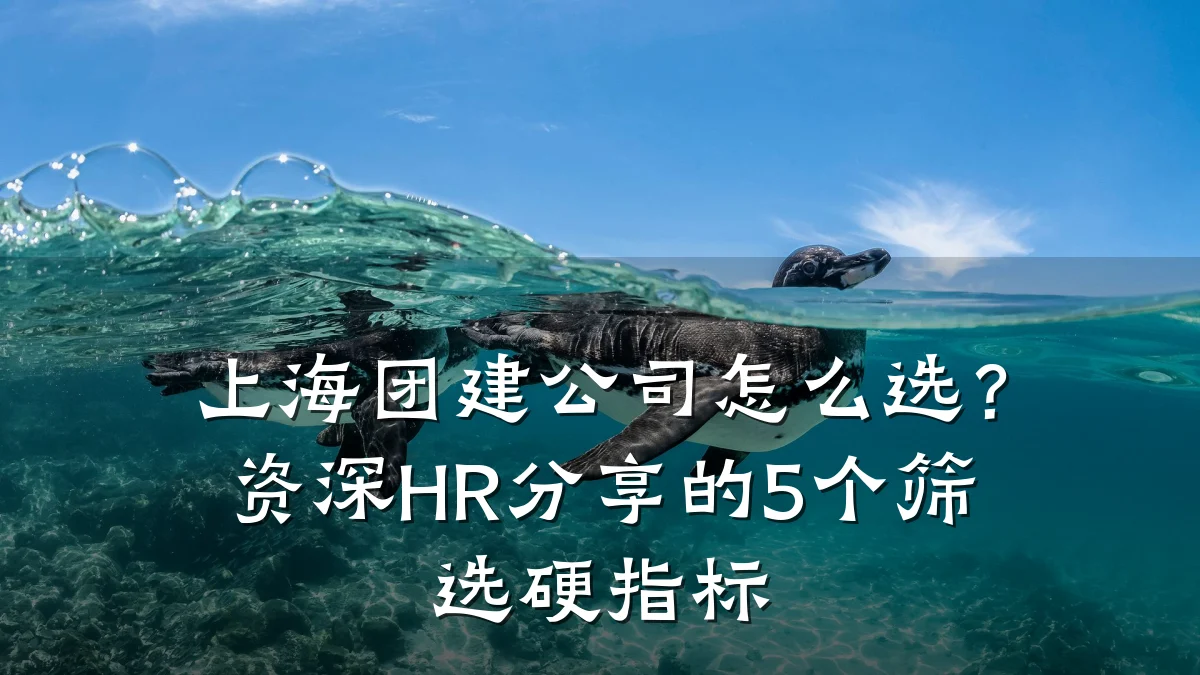 上海团建公司怎么选？资深HR分享的5个筛选硬指标