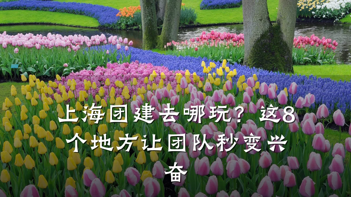 上海团建去哪玩?这8个地方让团队秒变兴奋