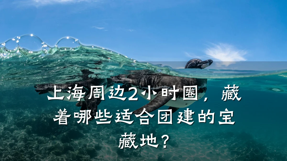 上海周边2小时圈,藏着哪些适合团建的宝藏地?