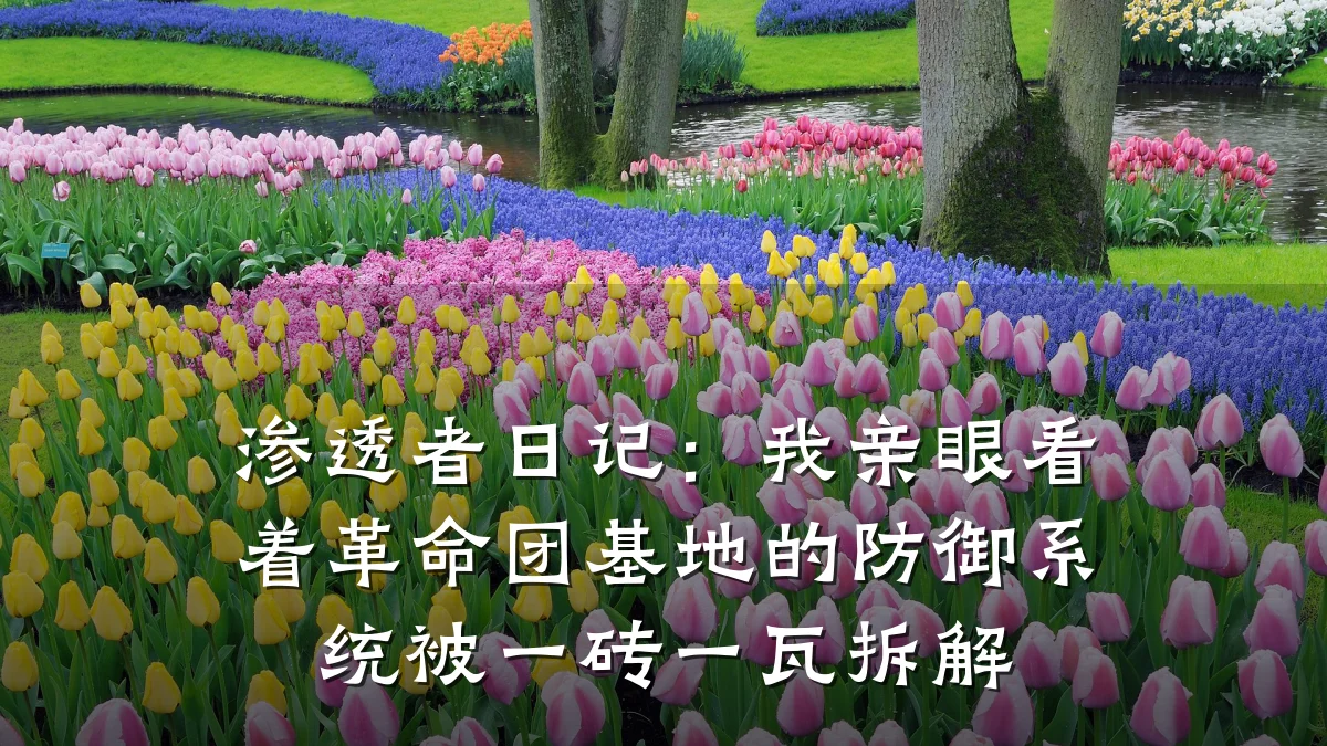 渗透者日记:我亲眼看着革命团基地的防御系统被一砖一瓦拆解