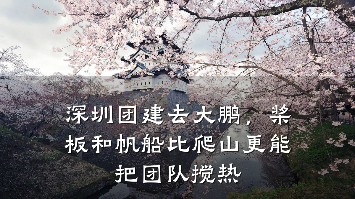 深圳团建去大鹏,桨板和帆船比爬山更能把团队搅热
