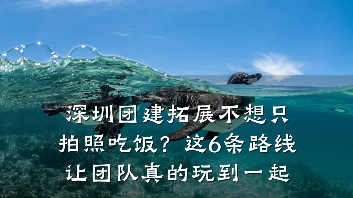 深圳团建拓展不想只拍照吃饭?这6条路线让团队真的玩到一起