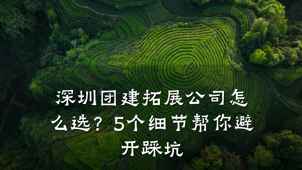深圳团建拓展公司怎么选?5个细节帮你避开踩坑