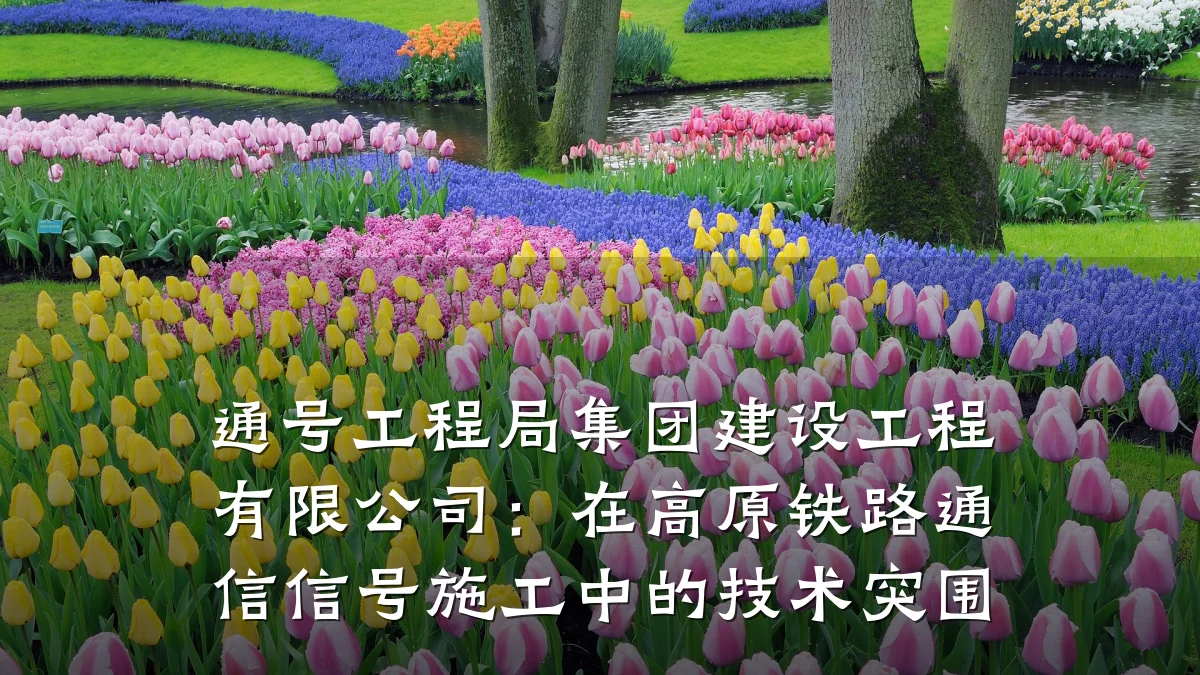 通号工程局集团建设工程有限公司：在高原铁路通信信号施工中的技术突围