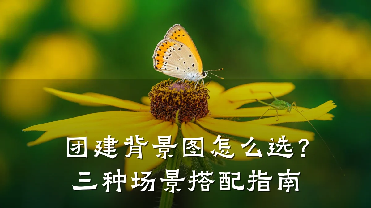 团建背景图怎么选？三种场景搭配指南