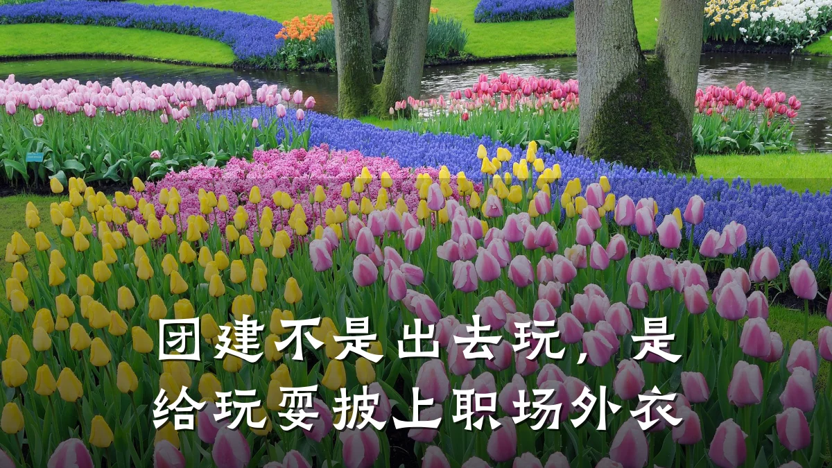 团建不是出去玩,是给玩耍披上职场外衣