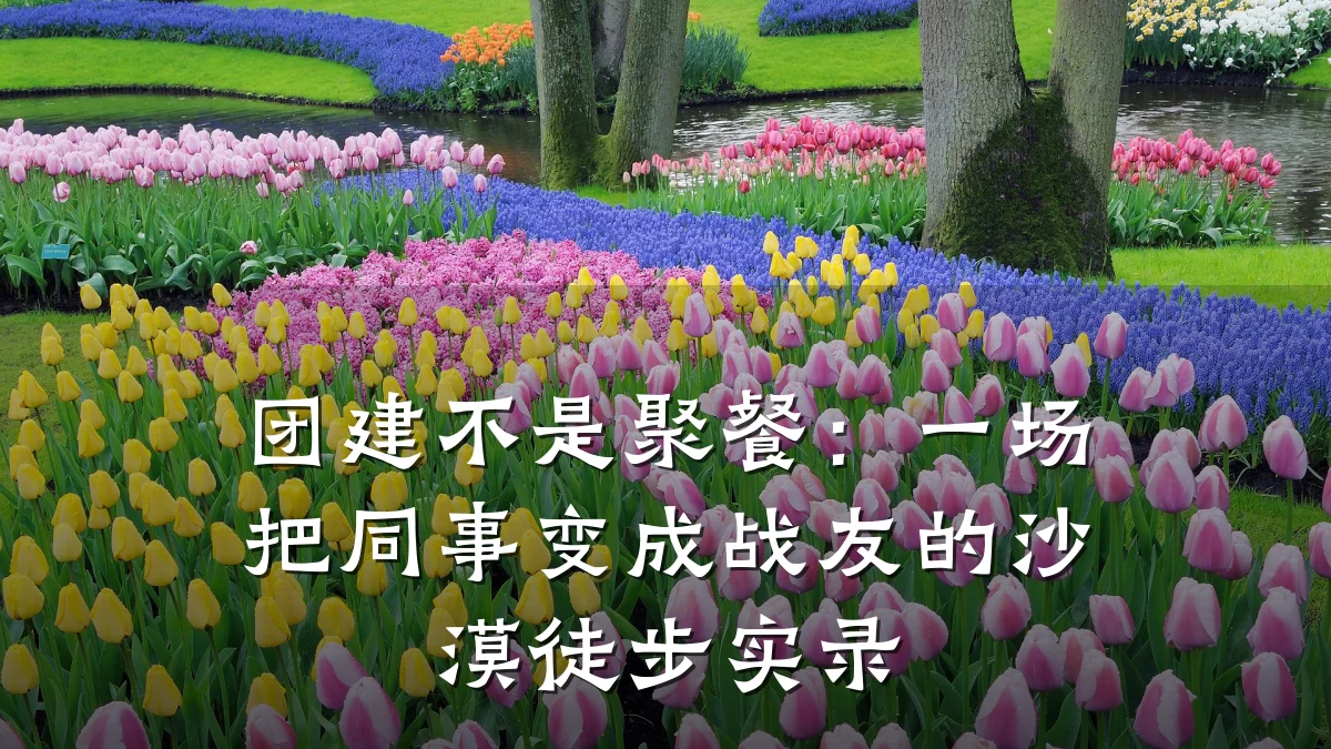 团建不是聚餐:一场把同事变成战友的沙漠徒步实录